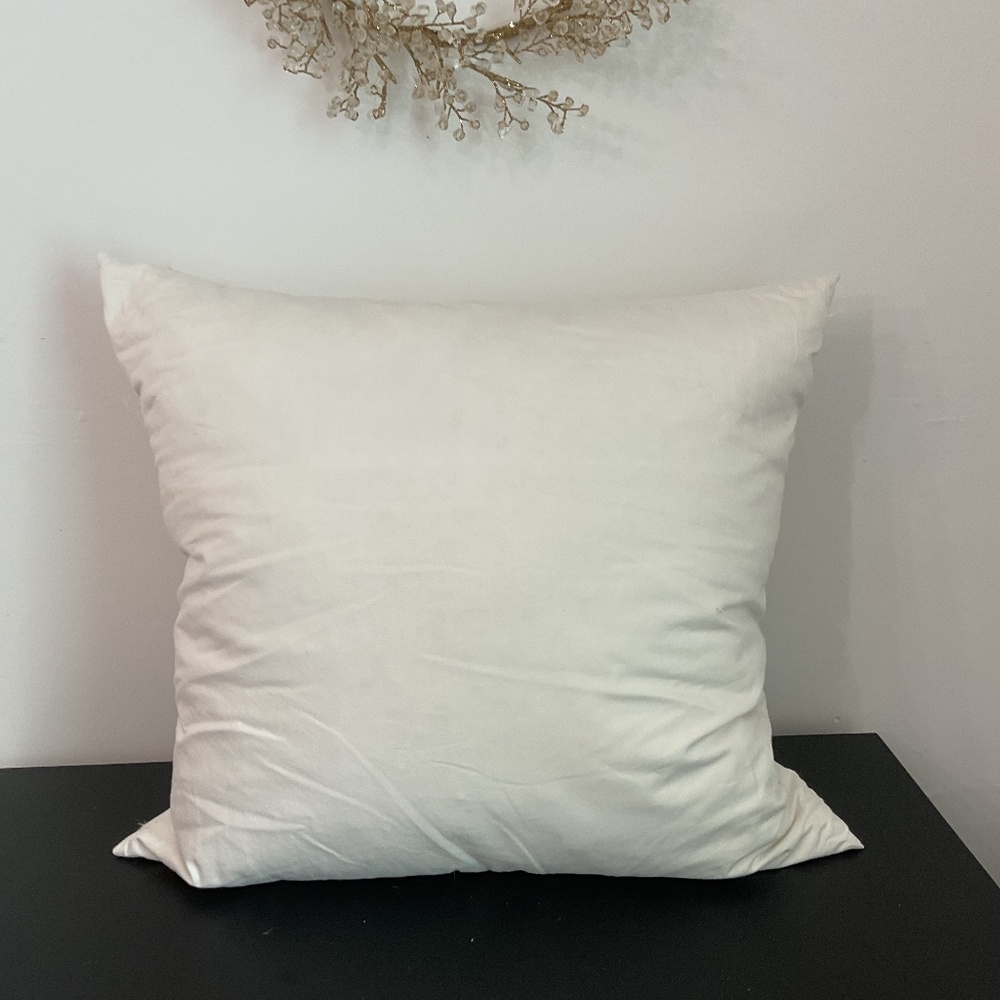 Restoration Hardware Feather Pillow Insert for 22x22 Pillow Cover